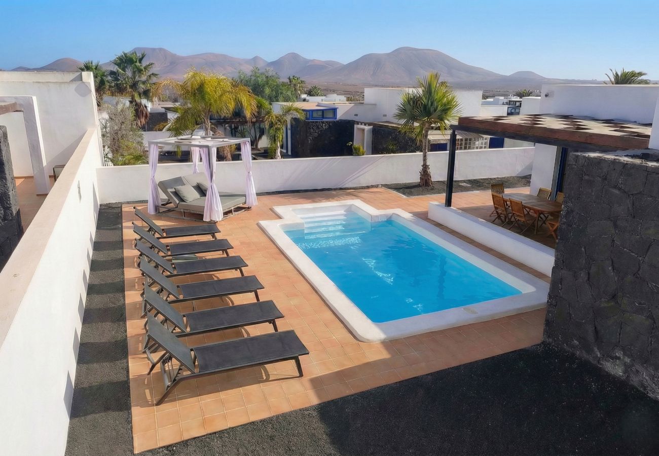 Rectangular pool with blue water and sunny terrace