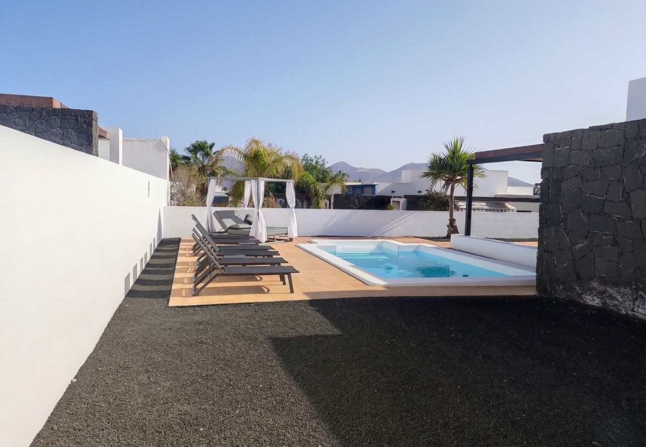 Rectangular pool with blue water and sunny terrace