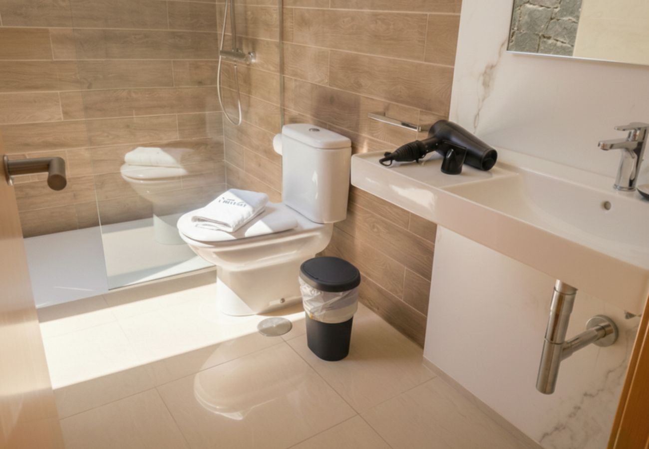 Toilet and shower in modern bathroomv